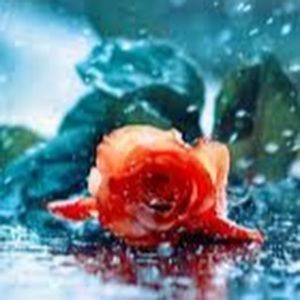 Meet your Posher, Jocelyn